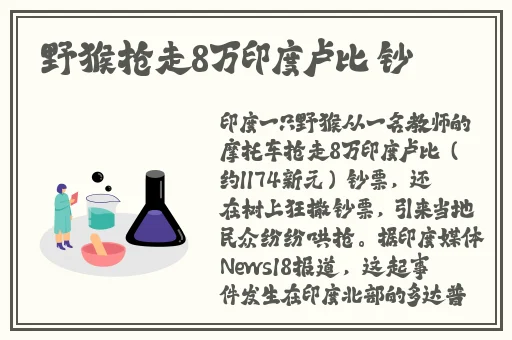 星空传媒xk8012苏清歌